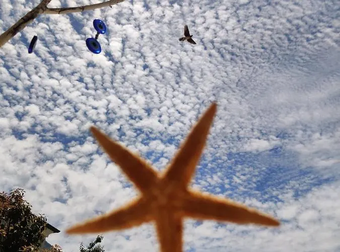 Cc's Butik Öludeniz