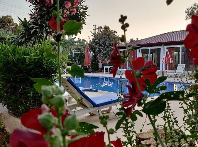 Cc's Butik Guest house