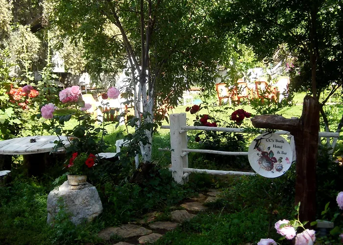 Guest house Cc's Butik