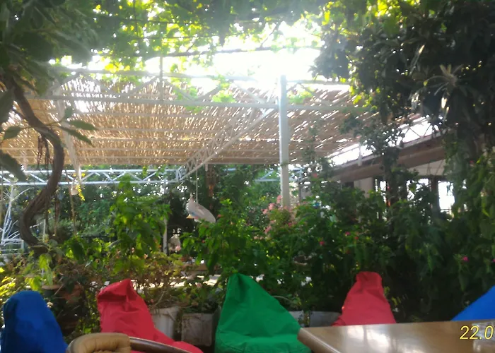 Guest house Cc's Butik