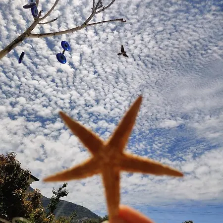 Cc's Butik Ölüdeniz