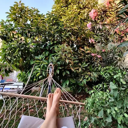 Penzion Cc's Butik 3*