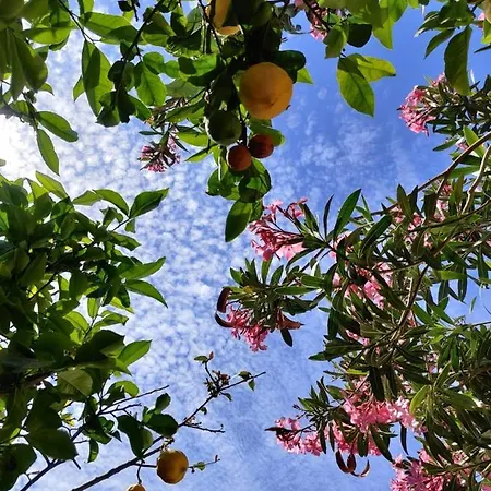 Cc's Butik Ölüdeniz