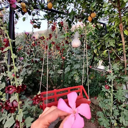 Cc's Butik Maison d'hôtes