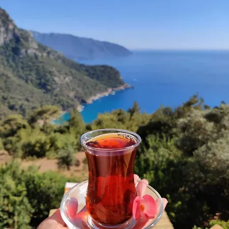 Gæstehus Cc's Butik Ölüdeniz