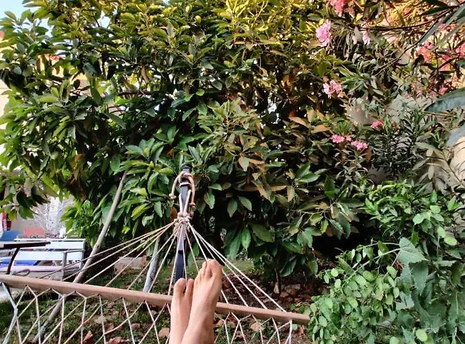 Penzion Cc's Butik 3*