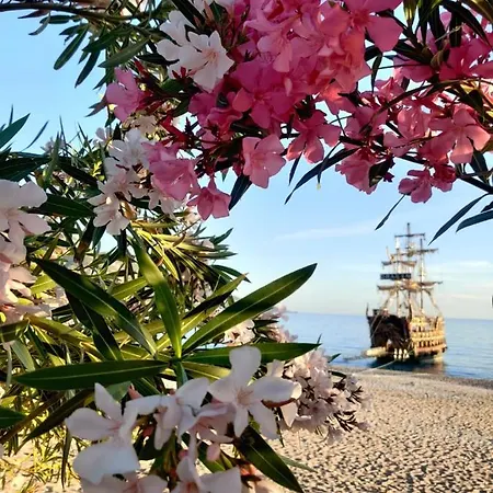 بيت ضيافة Cc's Butik 3*