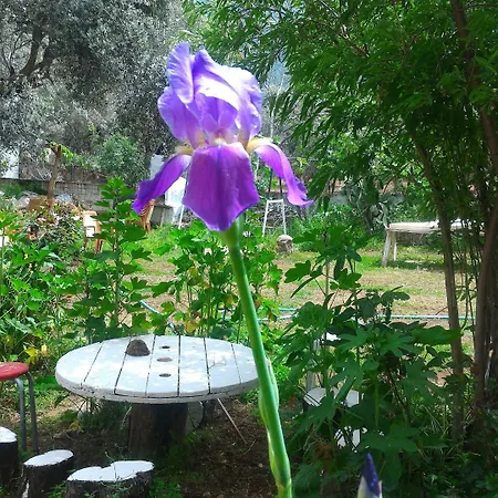 Cc's Butik أولدينيس