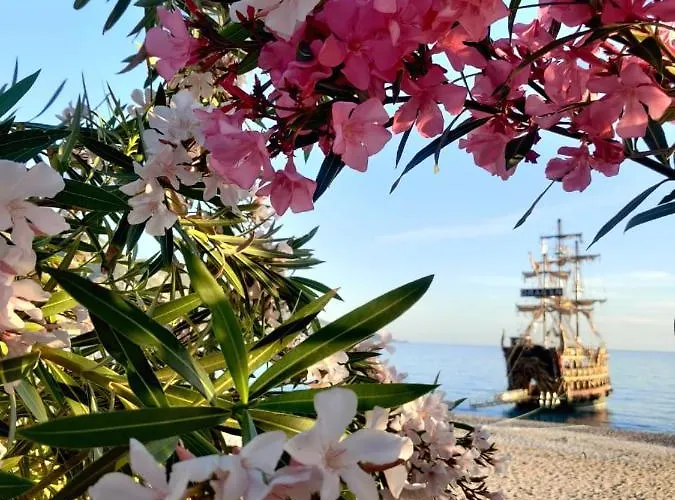 Πανσιόν Cc's Butik 3*