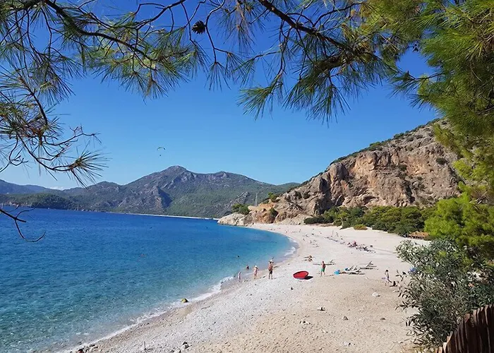 Πανσιόν Cc's Butik 3*